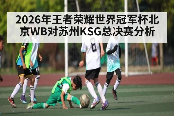 2026年王者荣耀世界冠军杯北京WB对苏州KSG总决赛分析 | kaiyun